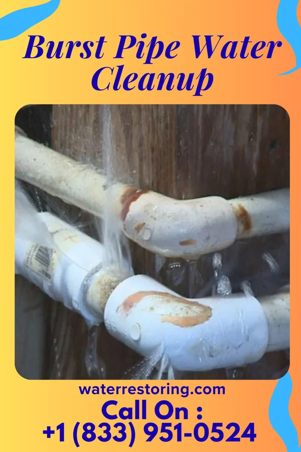 Burst Pipe Water Cleanup in Erlanger, KY