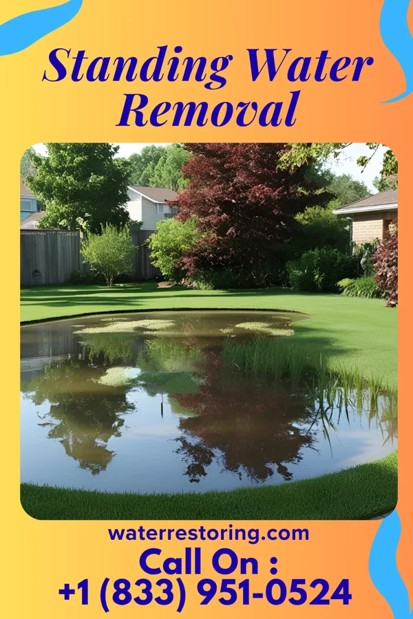 Standing Water Removal in Erlanger, KY